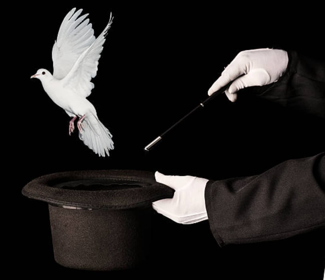 magician dove trick